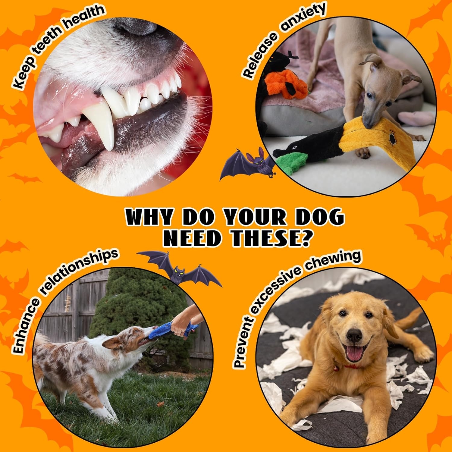 image:imageNocciola 3 PC No Stuffing Small Dog Toys Removable Crinkle Squeaky Durable Dog Tug Toy Summer Drinks Theme Bottle Insert Fun Puppy Toys to Keep Them Busy5 Pcs Halloween Dog Squeaky Toys