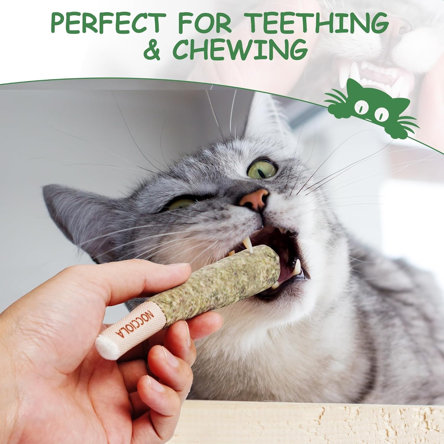 image:imageNocciola 3 Pack Catnip Toys for Cats Funny Cat Toys Filled with 100 Pure Organic Catnip Safe Kitten Teething Chew and Kicker Toys Stress Relieving Fun for Indoor CatsGreen for Strong Chewers