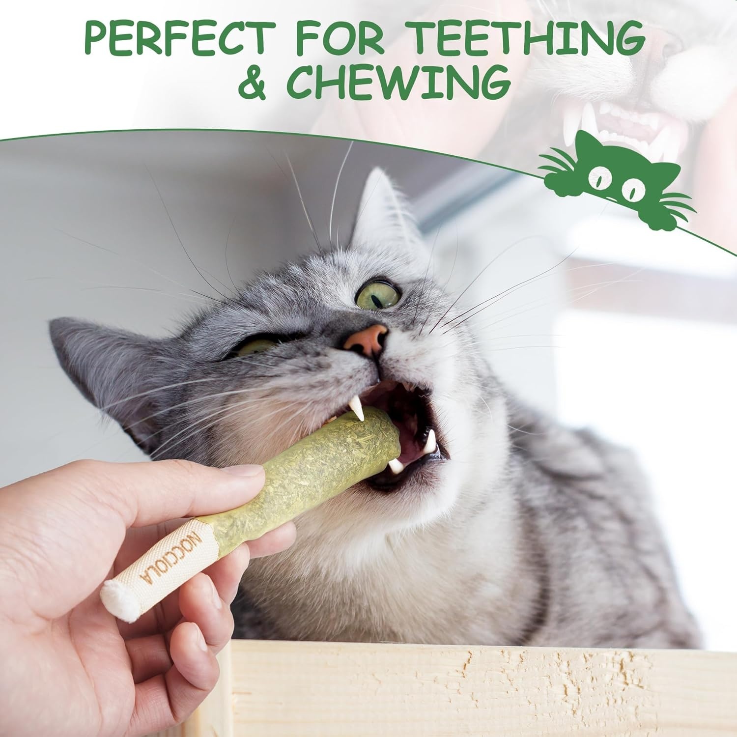 image:imageNocciola 3 Pack Catnip Toys for Cats Funny Cat Toys Filled with 100 Pure Organic Catnip Safe Kitten Teething Chew and Kicker Toys Stress Relieving Fun for Indoor CatsGreen for Gentle Play