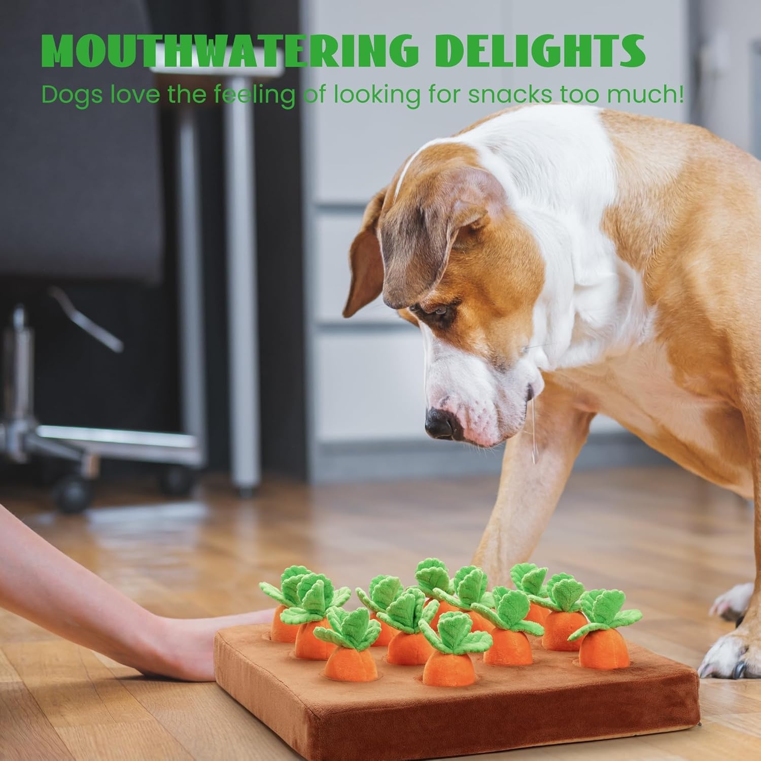 image:imageNocciola Carrot Puzzle Dog Toys 12PC Squeaky Carrots amp Farm Snuffle Mat for Hide and Seek Snuffle Toys for Small and Medium Dogs Carrot Patch Dog Toy to Keep Them BusyCarrot Easter Toys