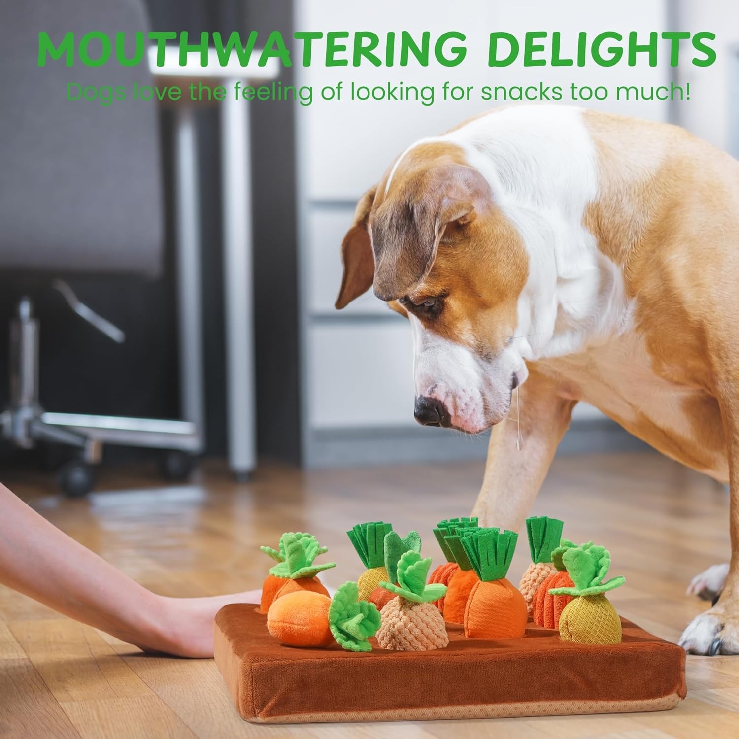 image:imageNocciola Carrot Puzzle Dog Toys 12PC Squeaky Carrots amp Farm Snuffle Mat for Hide and Seek Snuffle Toys for Small and Medium Dogs Carrot Patch Dog Toy to Keep Them BusyVarious Carrot Toys