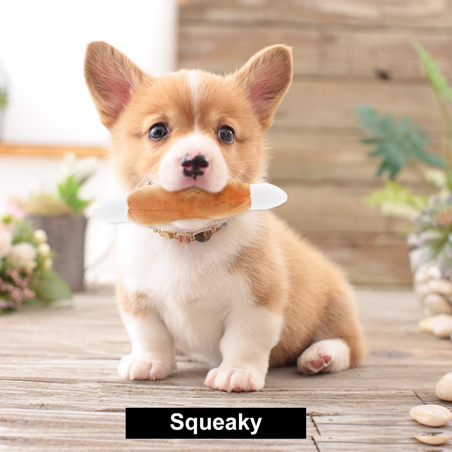 image:imageNocciola Dog Squeaky Toys Plush Small Dog Toys for Dogs Stuffed with Squeakers12 pcs Puppy Toys with a Carrying Bag for Small Medium Size12 PCS