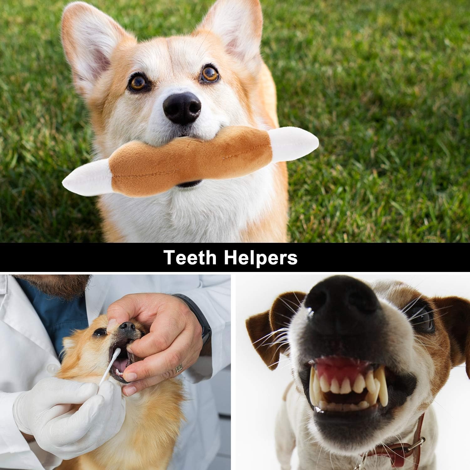image:imageNocciola Dog Squeaky Toys Plush Small Dog Toys for Dogs Stuffed with Squeakers12 pcs Puppy Toys with a Carrying Bag for Small Medium Size12 PCS
