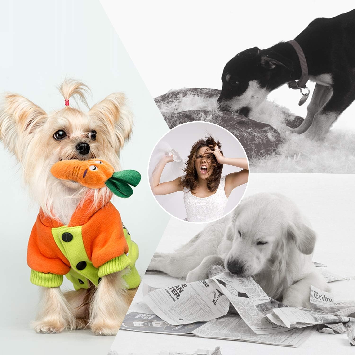 image:imageNocciola Dog Squeaky Toys Plush Small Dog Toys for Dogs Stuffed with Squeakers12 pcs Puppy Toys with a Carrying Bag for Small Medium Size12 PCS