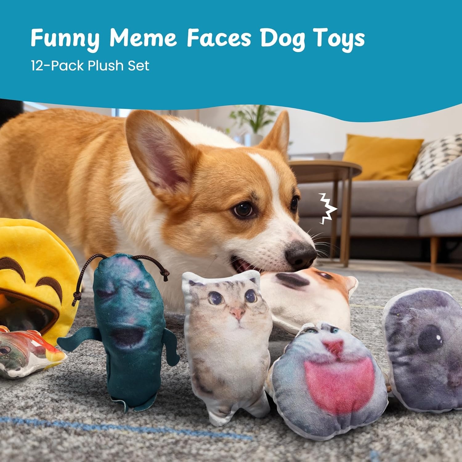 image:imageNocciola Dog Squeaky Toys Plush Small Dog Toys for Dogs Stuffed with Squeakers12 pcs Puppy Toys with a Carrying Bag for Small Medium Size12pcs Funny Toys