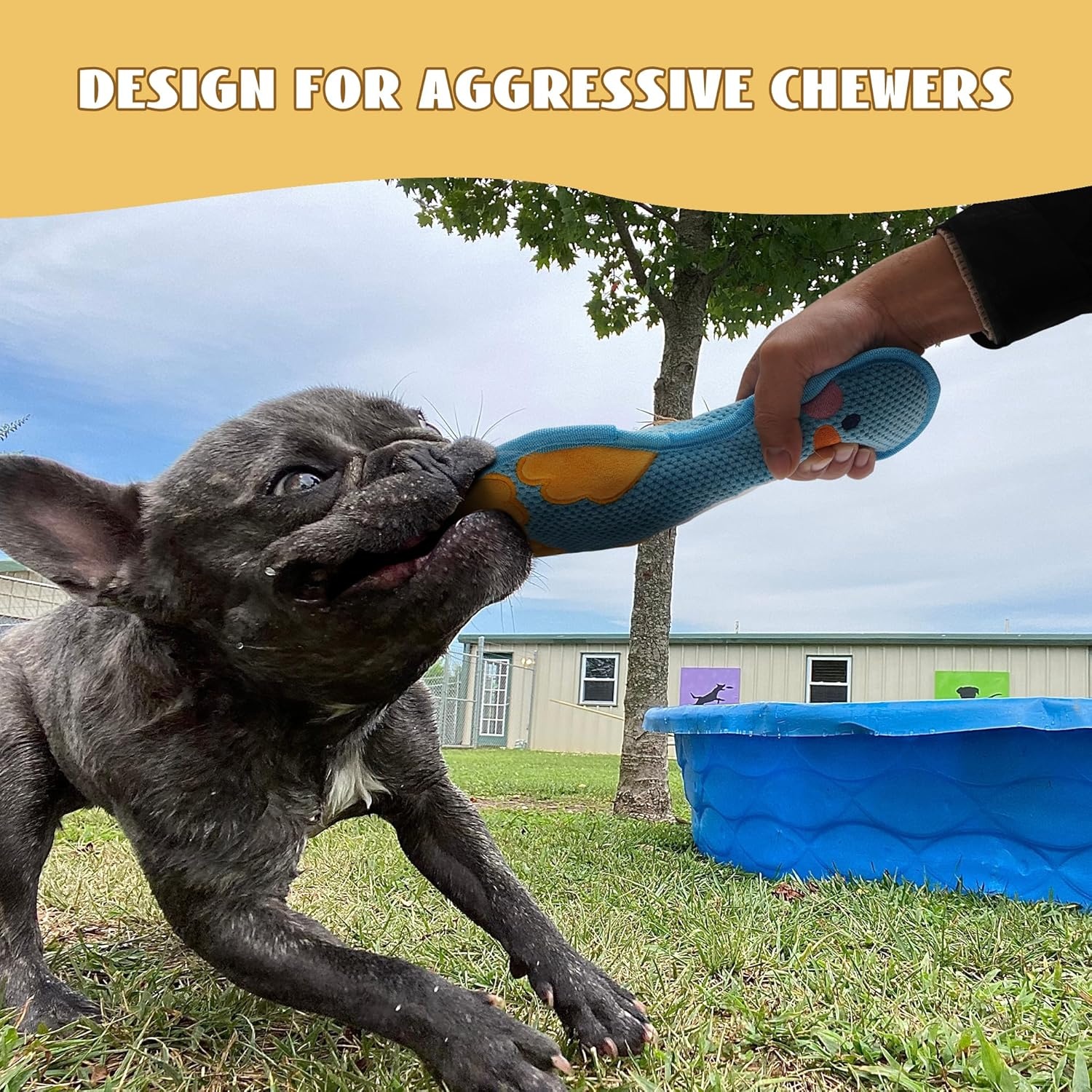 image:imageNocciola Duck Squeaky Dog Toy New 2025 Indestructible Dog Toy for Aggressive Chewers Stuffed Toy with Two Tough Layers Minky Plush for Comfort and Chewing YellowTeddy Blue