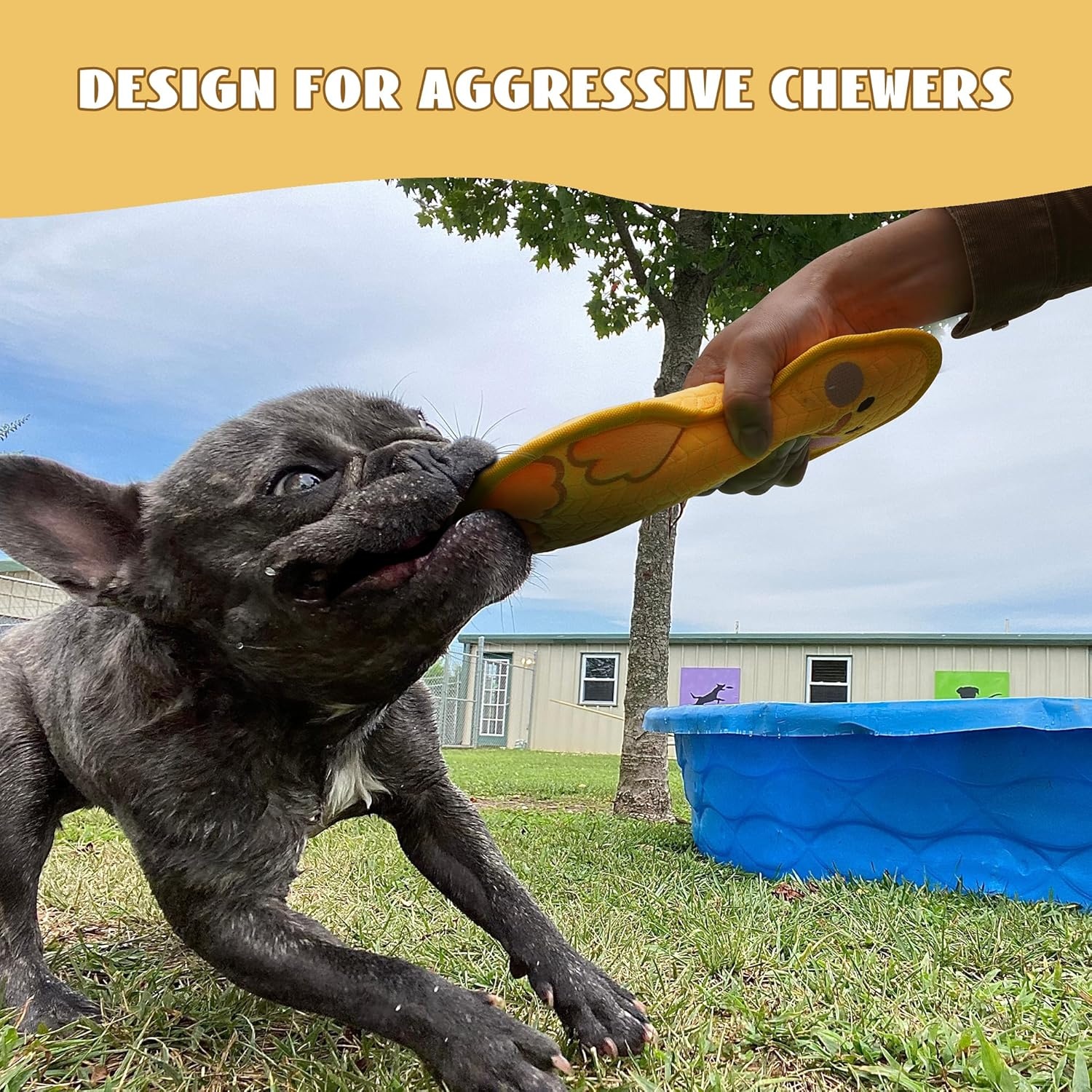 image:imageNocciola Duck Squeaky Dog Toy New 2025 Indestructible Dog Toy for Aggressive Chewers Stuffed Toy with Two Tough Layers Minky Plush for Comfort and Chewing YellowMinky Yellow