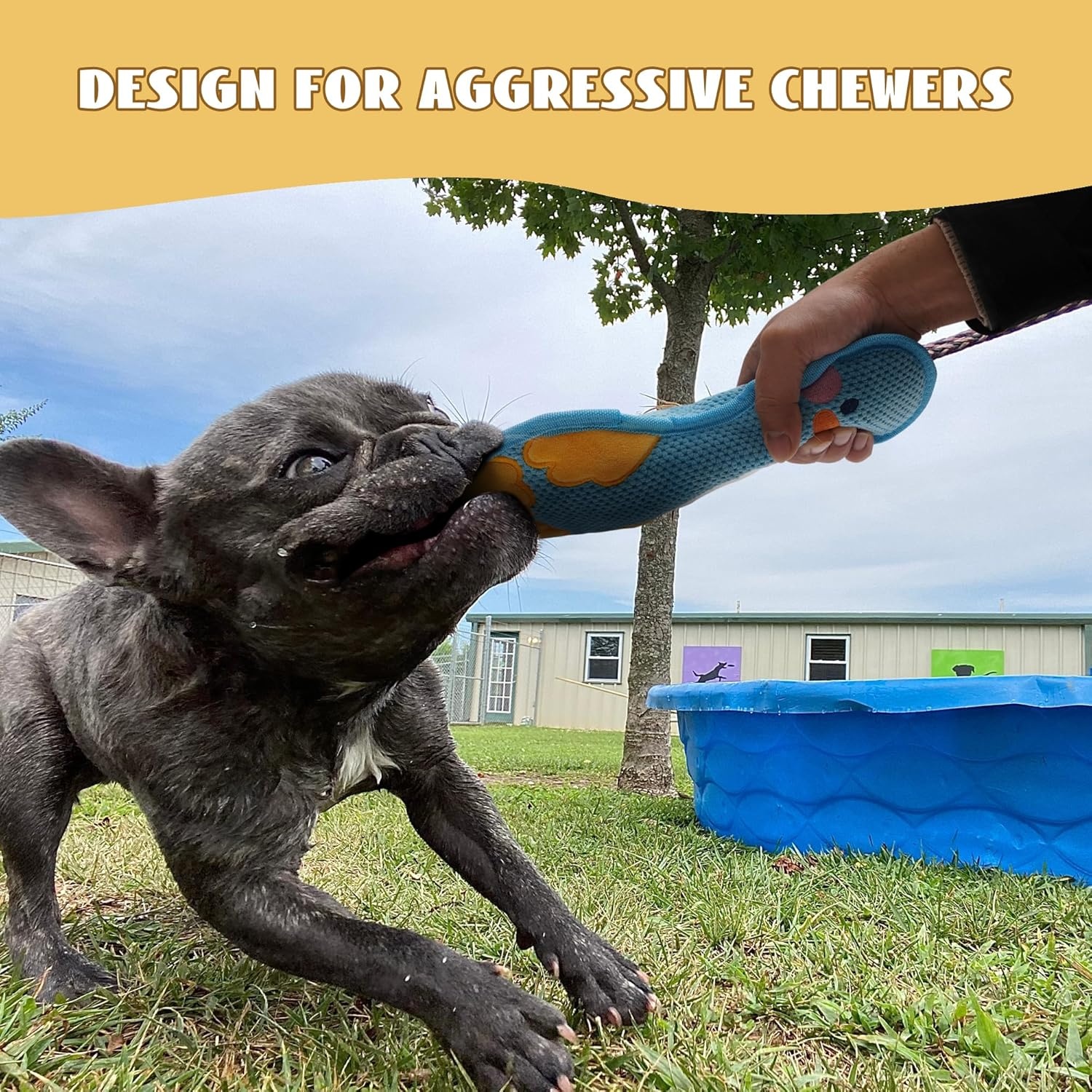 image:imageNocciola Duck Squeaky Dog Toy New 2025 Indestructible Dog Toy for Aggressive Chewers Stuffed Toy with Two Tough Layers Minky Plush for Comfort and Chewing YellowTeddy Yellow