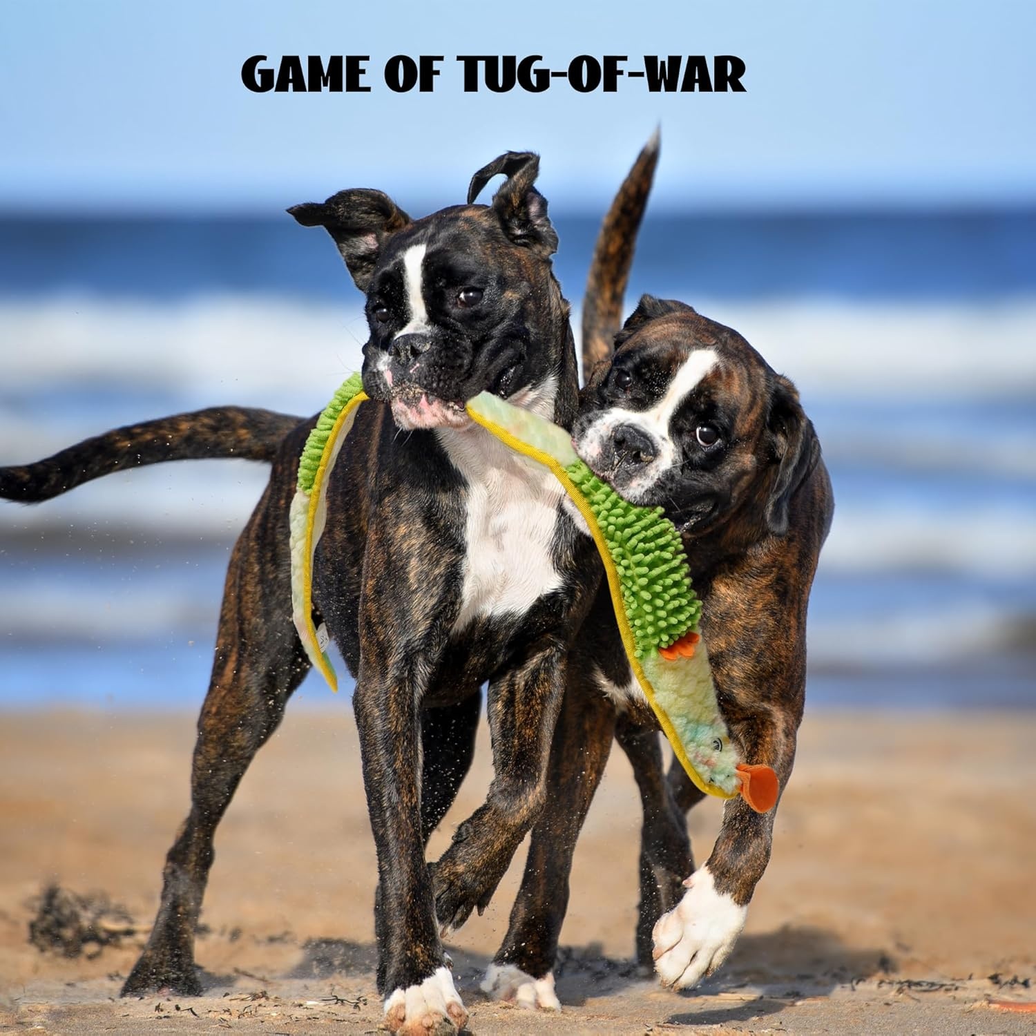 image:imageNocciola EEL Squeaky Dog Toy Tough No Stuffing Toy for Tug of War Puppy Interactive Puzzle Fun to Keep Them Busy Cognitive Crinkle Dog Toy for Large Medium Small Breed BlueNo Stuffing Yellow Eel