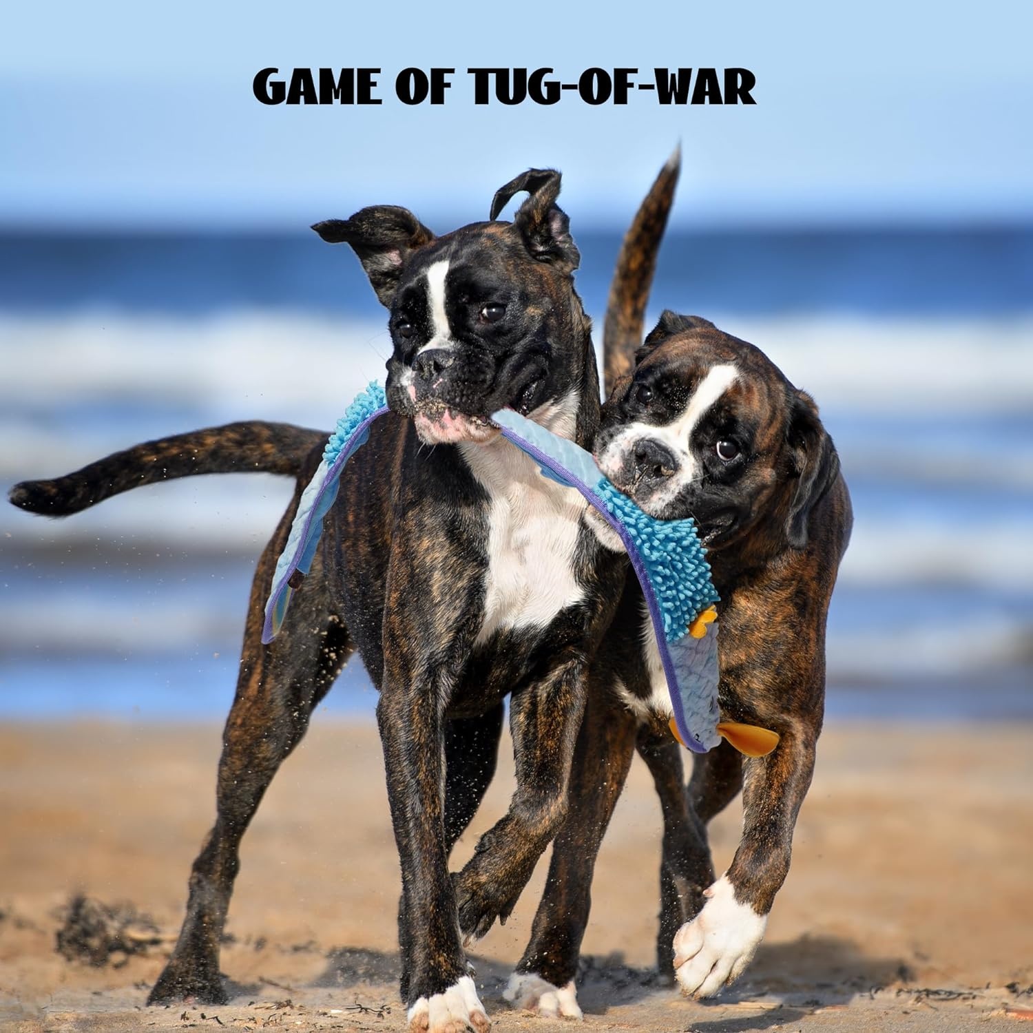image:imageNocciola EEL Squeaky Dog Toy Tough No Stuffing Toy for Tug of War Puppy Interactive Puzzle Fun to Keep Them Busy Cognitive Crinkle Dog Toy for Large Medium Small Breed BlueBlue Yellow Eel Bundle