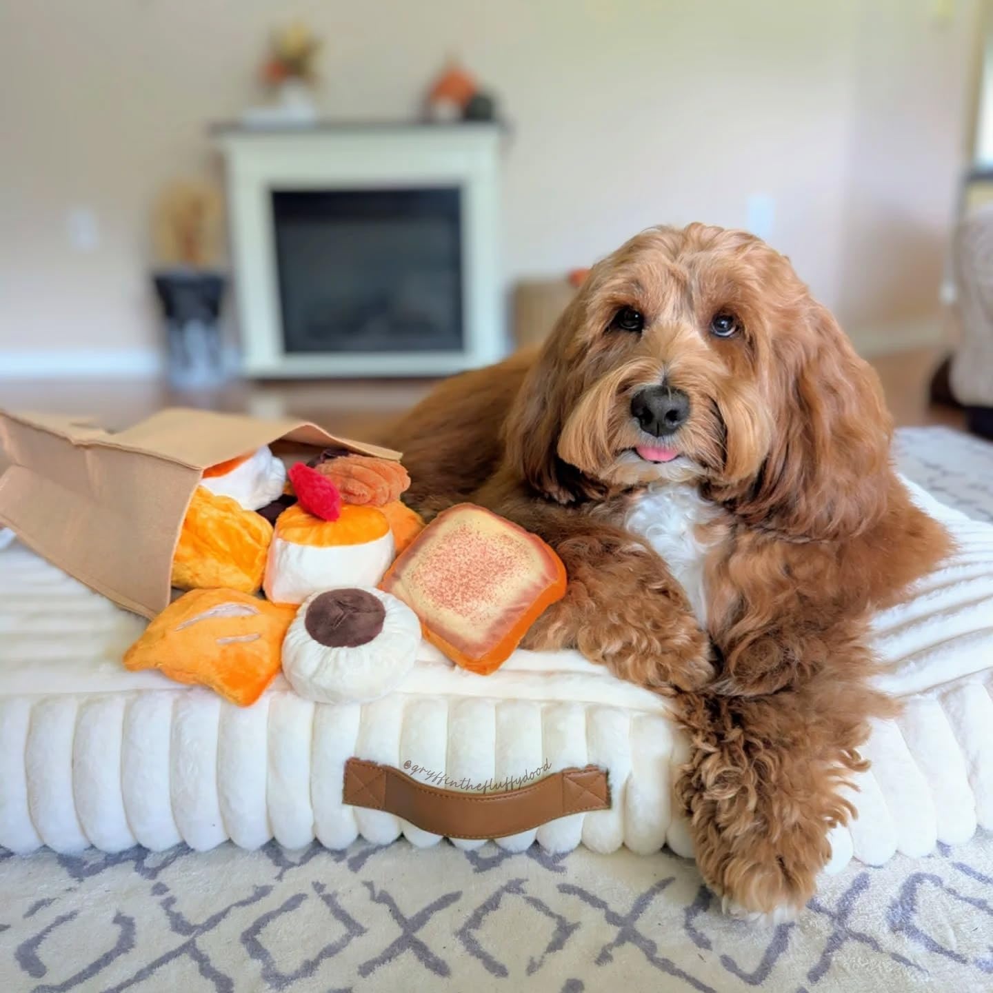 image:imageNocciola Squeaky Bread Stuffed Dog Toys Pack Puppy Toys with Grocery Bag to Keep Them Busy Small Dog Toys for Boredom Durable Snuffle Dog Toys for Small Medium Breeds Pet GiftBread Dog Toys