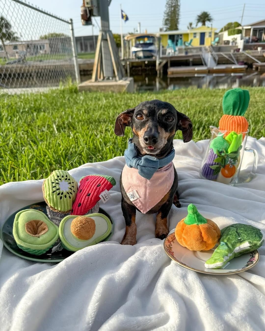 image:imageNocciola Squeaky Fruits Veggies Stuffed Dog Toys Pack Hide Seek Grocery Basket Crinkle Plush Puppy Toys to Keep Busy Birthday Pet Supplies Gifts for Small Medium BreedsFruit and Vegetables