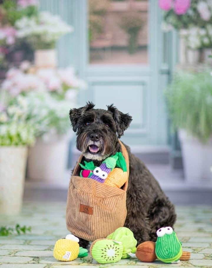 image:imageNocciola Squeaky Fruits Veggies Stuffed Dog Toys Pack Hide Seek Grocery Basket Crinkle Plush Puppy Toys to Keep Busy Birthday Pet Supplies Gifts for Small Medium BreedsFruit and Vegetables