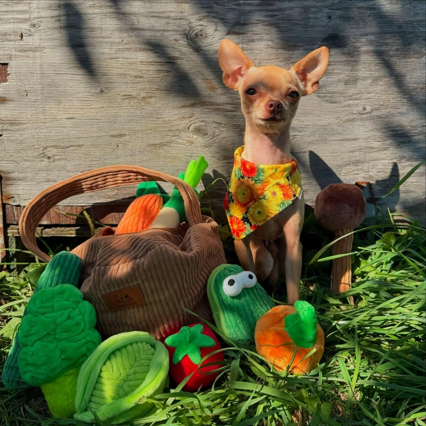 image:imageNocciola Squeaky Fruits Veggies Stuffed Dog Toys Pack Hide Seek Grocery Basket Crinkle Plush Puppy Toys to Keep Busy Birthday Pet Supplies Gifts for Small Medium BreedsFruit and Vegetables