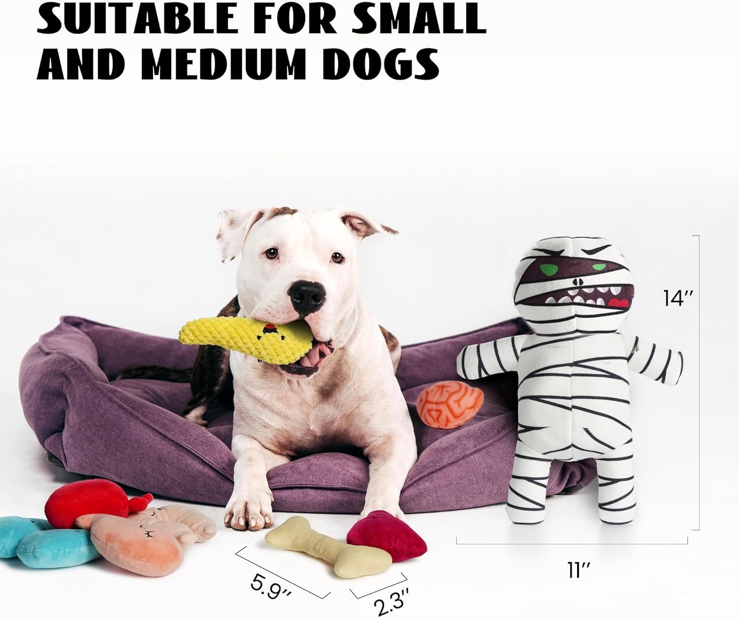 image:imageNocciola Stuffed Pig Dog Toys Hide and Seek Funny Squeaky Crinkle Plush Dog Chew Toys for Small Medium Breed Cognitive Training Pet Enrichment Gifts SuppliesMummy with Organs