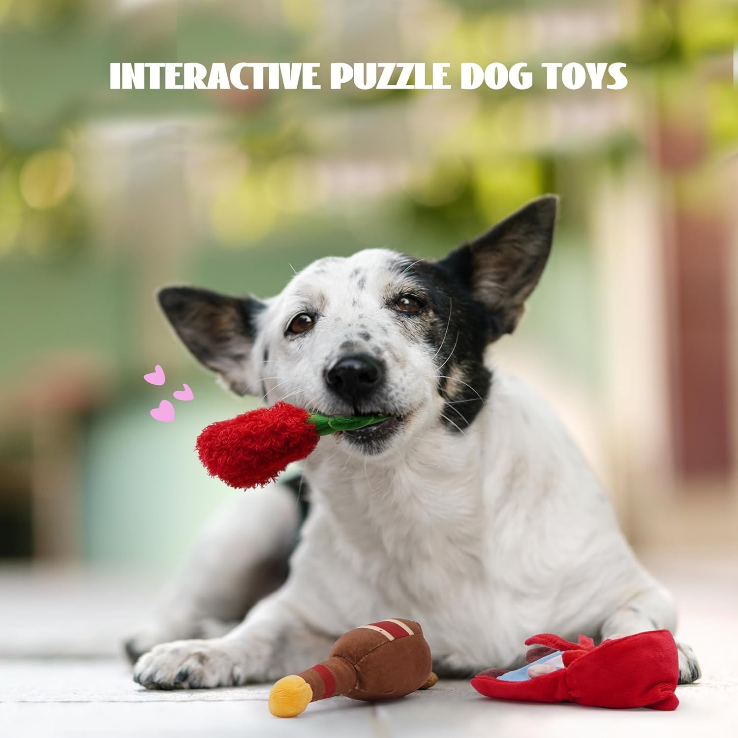 image:imageNocciola Stuffed Pig Dog Toys Hide and Seek Funny Squeaky Crinkle Plush Dog Chew Toys for Small Medium Breed Cognitive Training Pet Enrichment Gifts SuppliesLittle Red