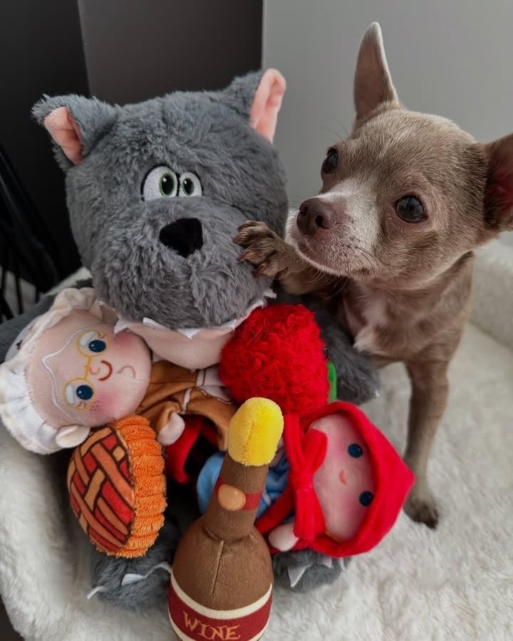 image:imageNocciola Stuffed Pig Dog Toys Hide and Seek Funny Squeaky Crinkle Plush Dog Chew Toys for Small Medium Breed Cognitive Training Pet Enrichment Gifts SuppliesLittle Red