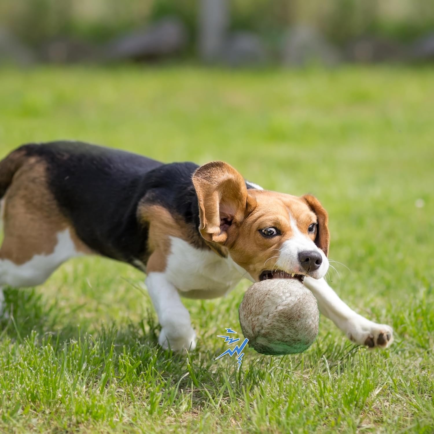 image:imageNocciola Wobble Giggle Ball for Dogs Interactive Dog Toys for Boredom Squeaky Ball Dog Toys to Keep Them Busy Pet Toys for Small Medium Large Dogs Fun Giggle Sounds When Rolled or Shaken SMedium Size