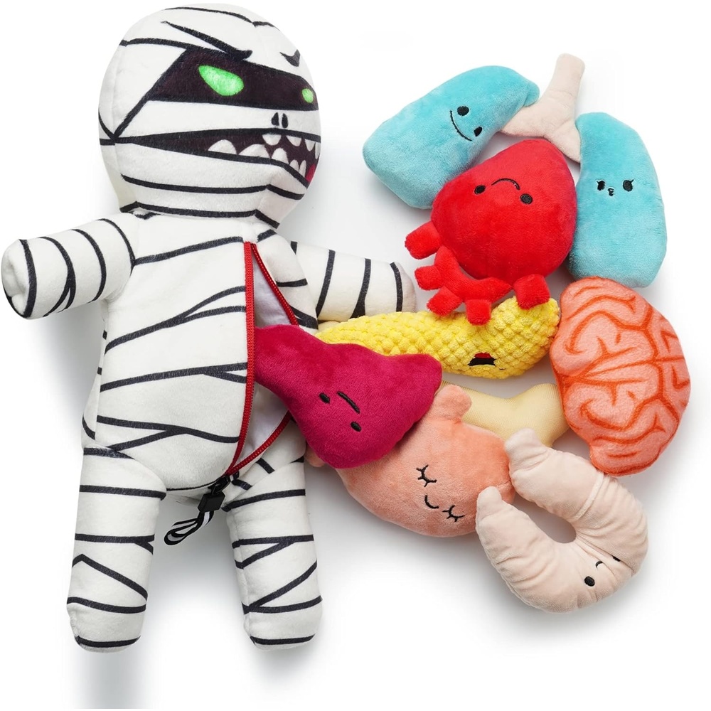image:imageNocciola Stuffed Pig Dog Toys Hide and Seek Funny Squeaky Crinkle Plush Dog Chew Toys for Small Medium Breed Cognitive Training Pet Enrichment Gifts SuppliesMummy with Organs