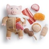 Pilot Pig