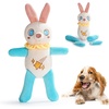 Bunny Dog Toy