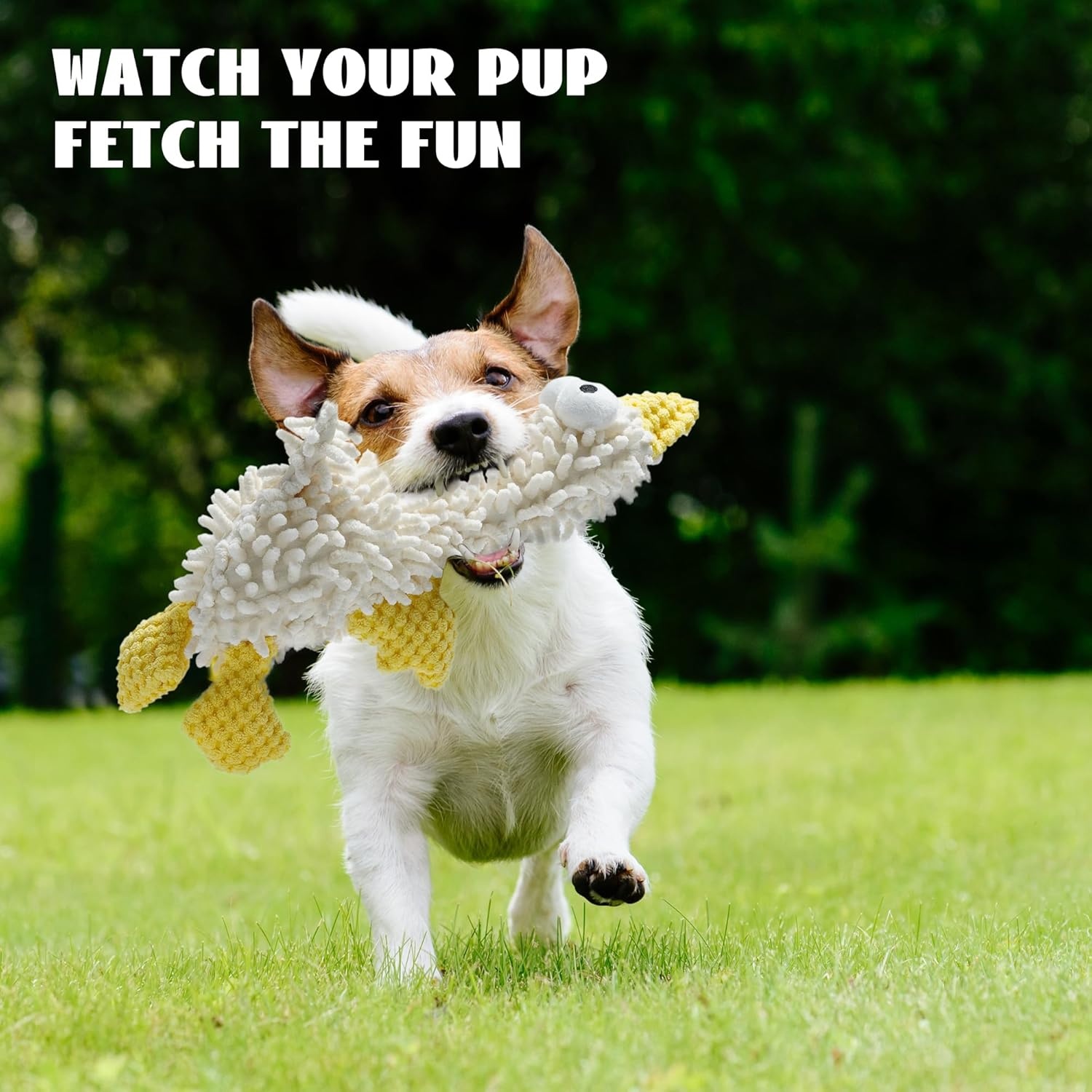 image:imageNocciola 5 Packs Squeaky Dog Toy Plushies Cute Soft Squeak Crinkle Plush Stuffed Durable Pet Animal Chew Puppy Toys for Small Meidum Large BreedDragonfly