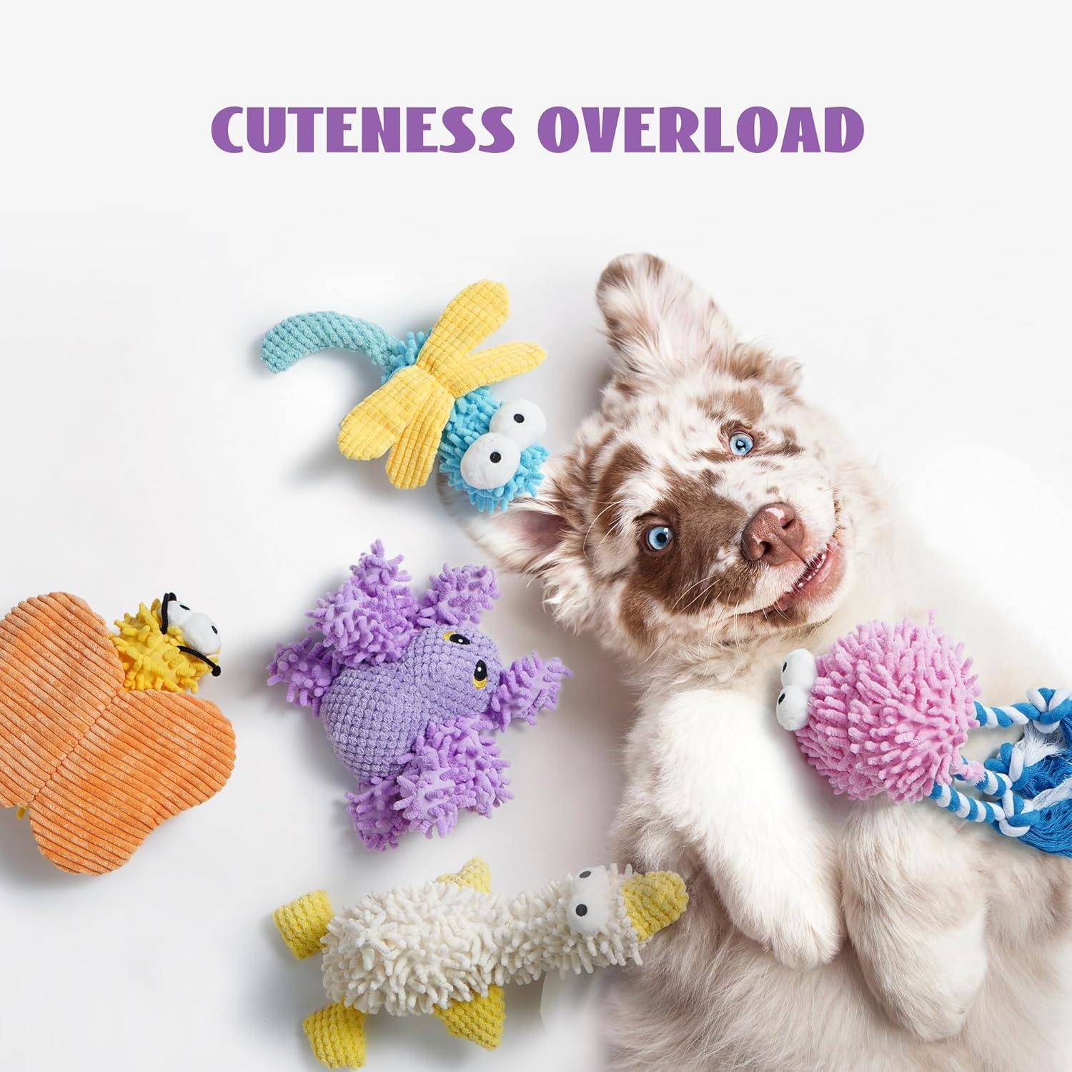 image:imageNocciola 5 Packs Squeaky Dog Toy Plushies Cute Soft Squeak Crinkle Plush Stuffed Durable Pet Animal Chew Puppy Toys for Small Meidum Large BreedDuck