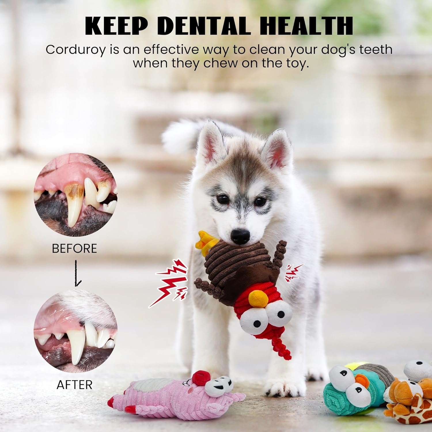 image:imageNocciola 5Pack Squeaky Dog Toys Durable Stuffed Critter Zoo Dog Toys with Unique Squeak Sounds to Keep Dogs Busy Puppy Toys for Small Medium and Large Dogs5 Different Animals