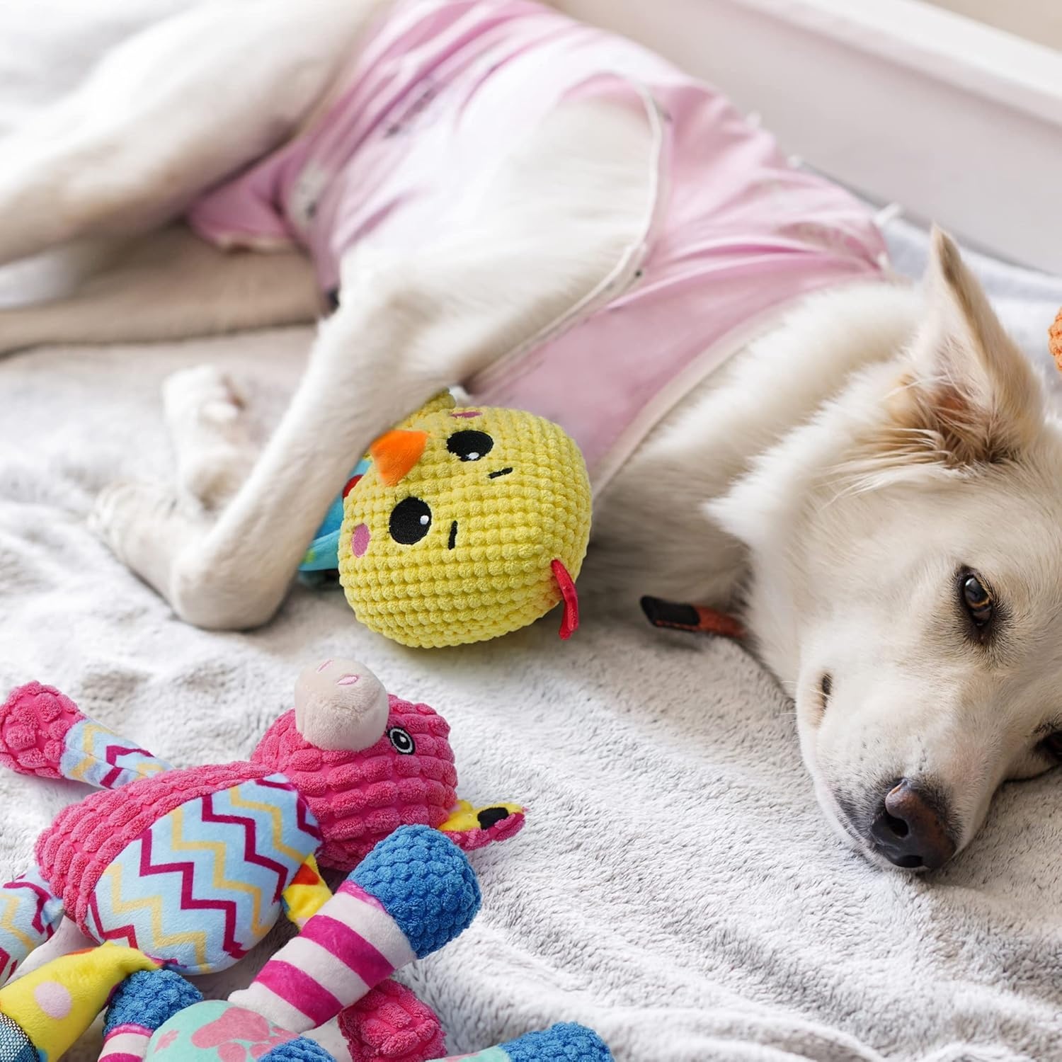 image:imageNocciola 5Pack Squeaky Dog Toys Durable Stuffed Critter Zoo Dog Toys with Unique Squeak Sounds to Keep Dogs Busy Puppy Toys for Small Medium and Large DogsBundle