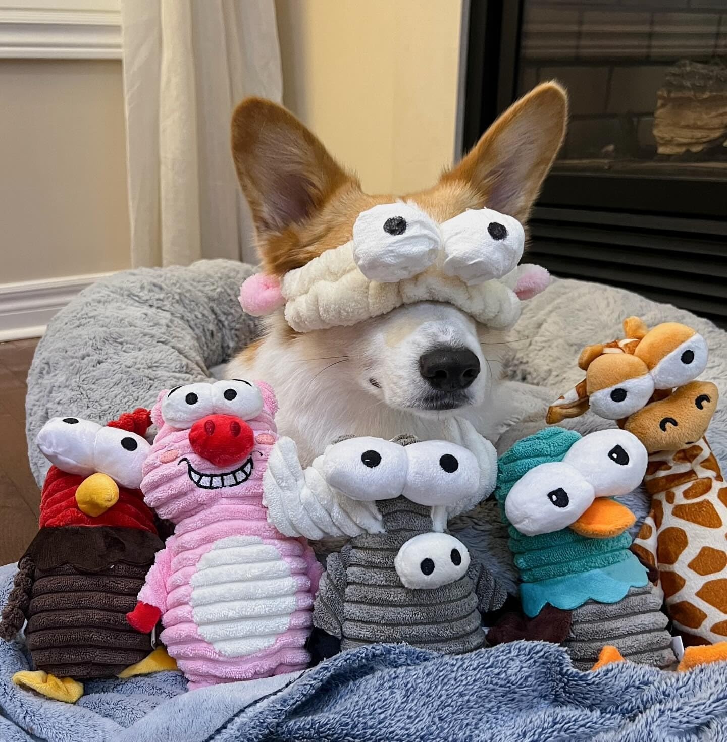 image:imageNocciola 5Pack Squeaky Dog Toys Durable Stuffed Critter Zoo Dog Toys with Unique Squeak Sounds to Keep Dogs Busy Puppy Toys for Small Medium and Large Dogs5 Different Animals
