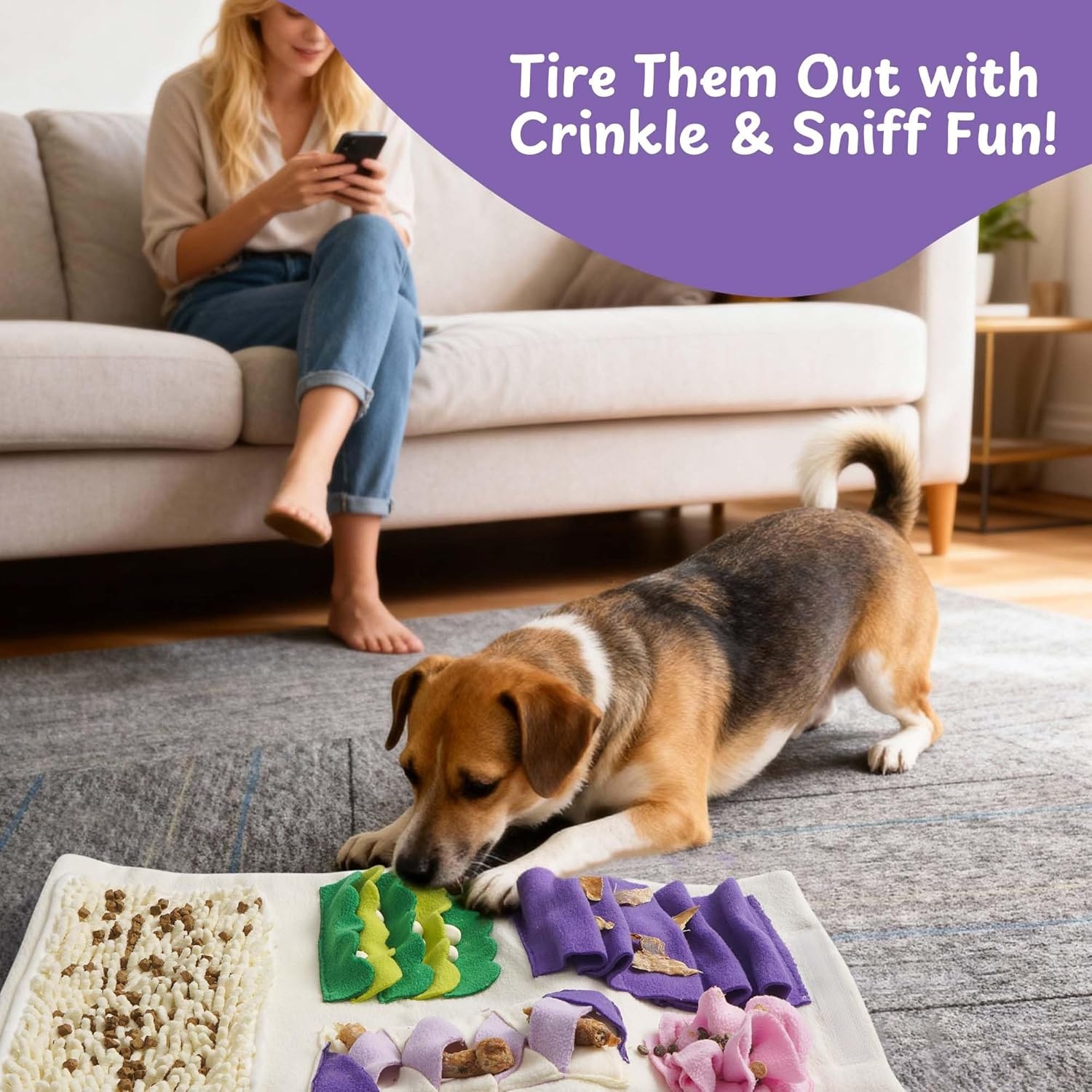 image:imageNocciola Dog Snuffle Toy Blueberry Cake Snuffle Mat for Puppies Puzzle Puppy Toy with Crinkle Hide and Seek Interactive Enrichment Toys for Small Medium Dogs Dog Gift Birthday Cake Toy