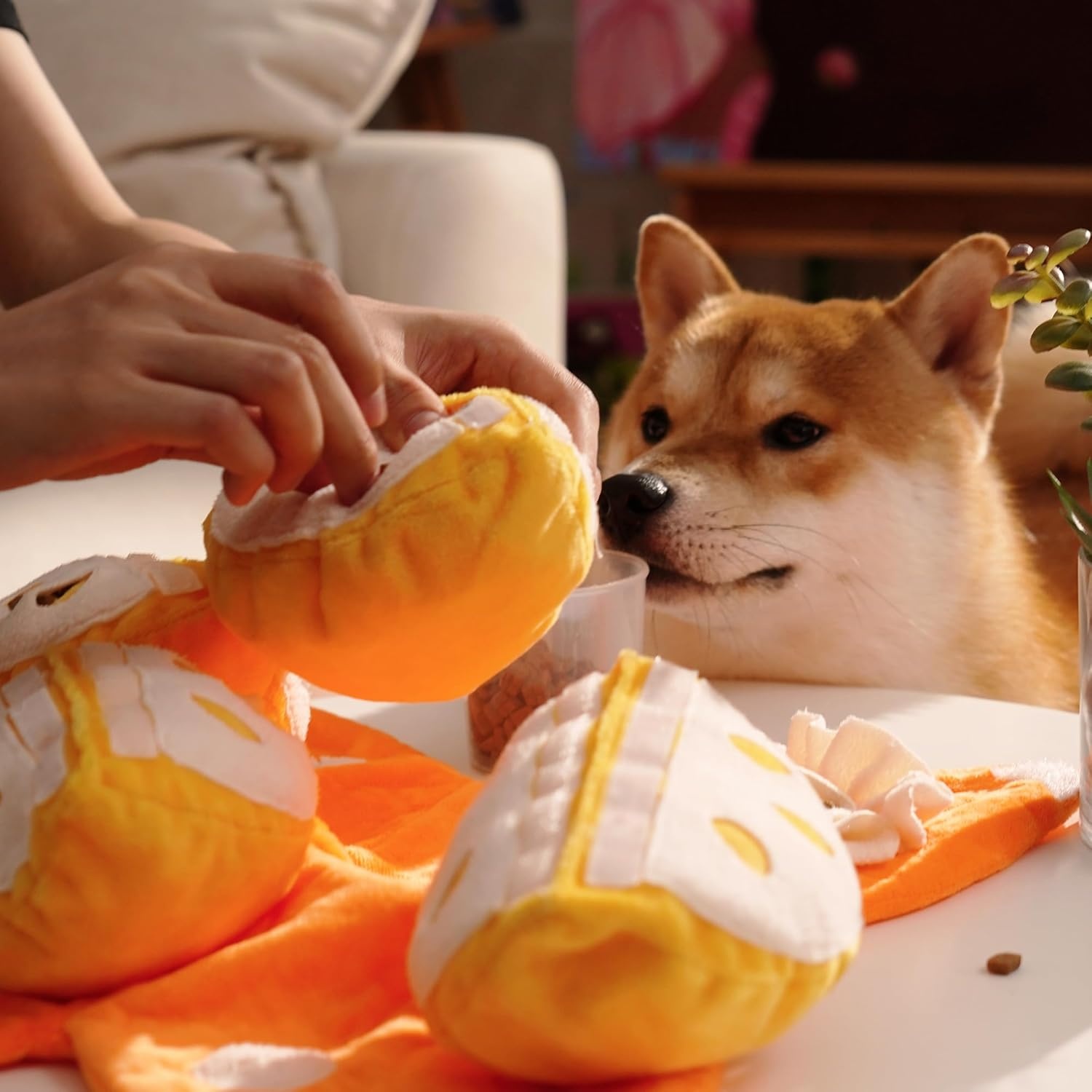 image:imageNocciola Pumpkin Puzzle Dog Toys Snuffle Interactive Dog Toy for Small Dogs Puppy Squeaky Toy with Crinkle Papers Hide and Seek Toy for Boredomorange