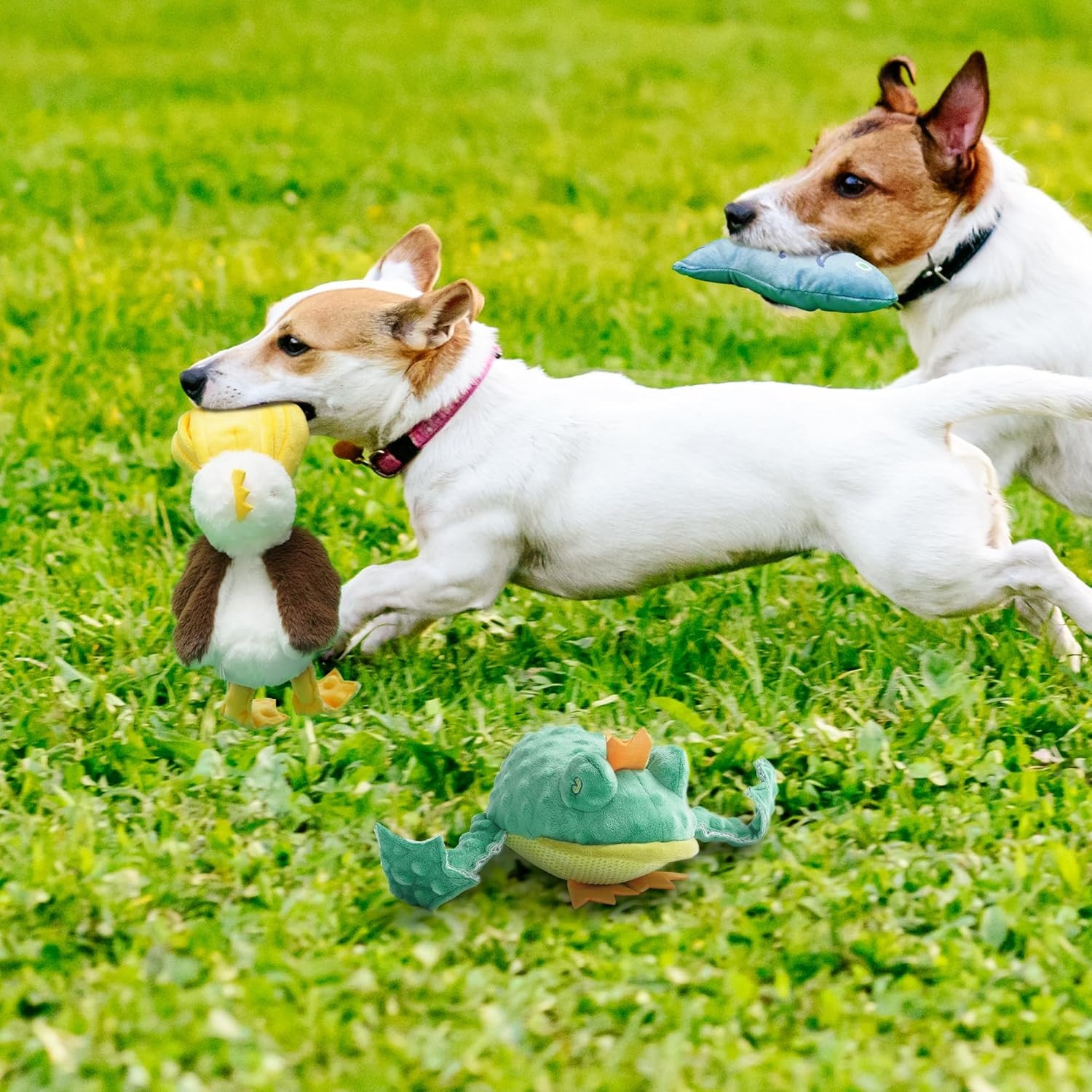 image:imageNocciola Rip and Reveal Squeaky Dog Toys 2 Pack Plush Animal Puzzle Set Frog amp Pelican Suprise Toys Inside with Squeaker Crinkle Part Enrichment Toys for Large Medium Dogs