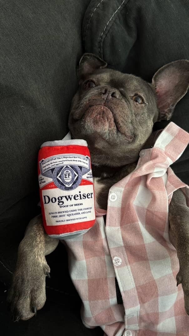 image:imageNocciola Squeaky Beer Dog Toys with a Fridge Funny Crinkle Hide and Seek Dog Chew Toys for Small Medium Large Breeds Plush Stuffed Puppy Birthday GiftsBeer