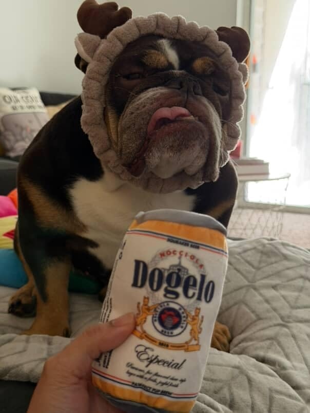 image:imageNocciola Squeaky Beer Dog Toys with a Fridge Funny Crinkle Hide and Seek Dog Chew Toys for Small Medium Large Breeds Plush Stuffed Puppy Birthday GiftsBeer