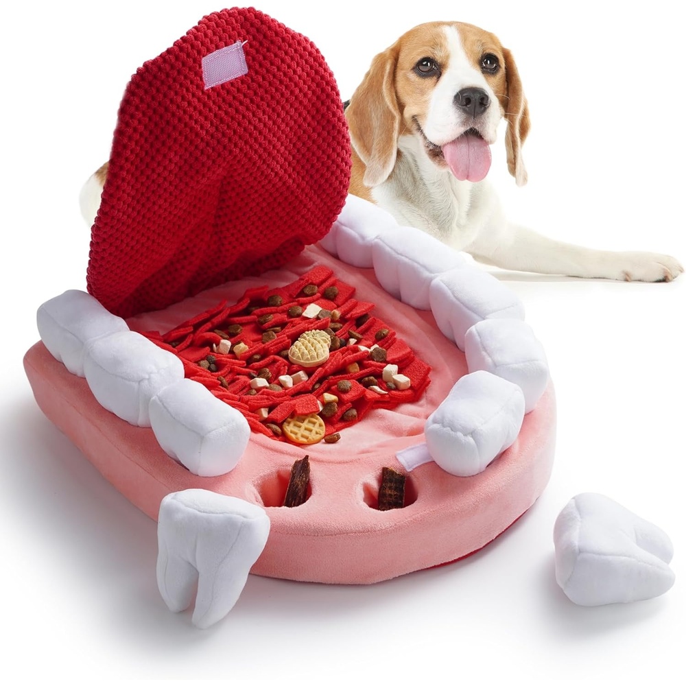 image:imageNocciola Interactive Teeth Dog Toys Enrichment Puzzle Funny Dog Toy for Small to Large Dogs Hide and Seek Dog Toys to Keep Dogs Busy White TeethWhite Teeth